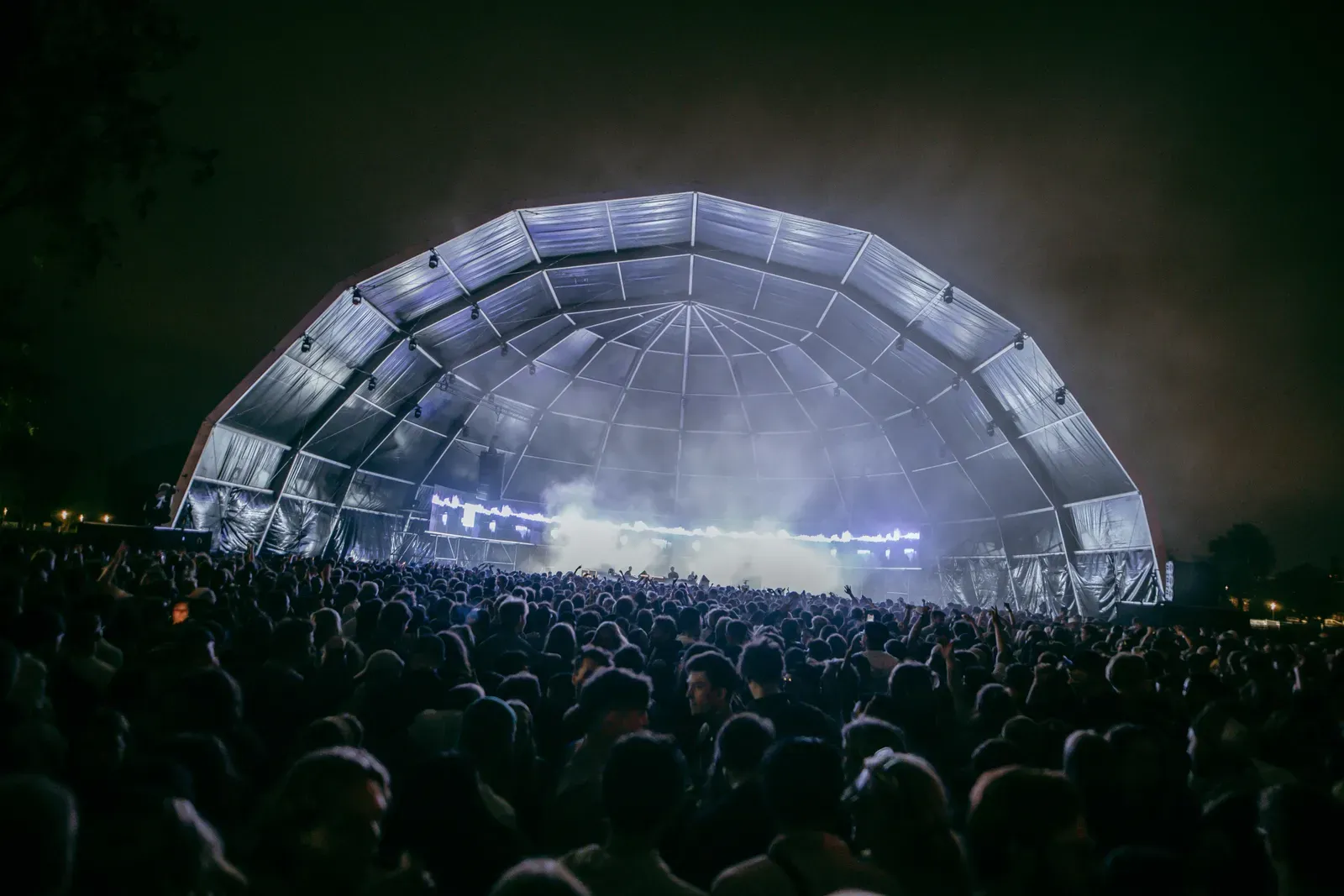 The Crave Festival 2024